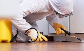 Best Termite Inspection and Treatment  in Silver Springs, FL